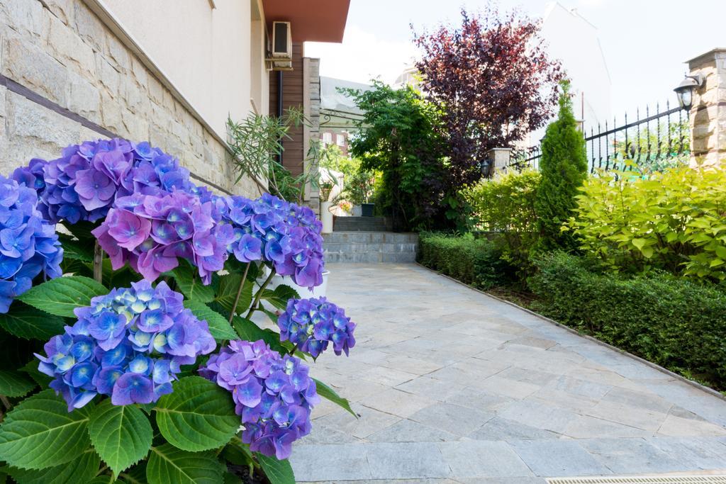 Siena House Hotel Sozopol Eksteriør billede